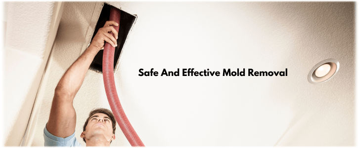 Air Duct Mold Removal in Queen Creek