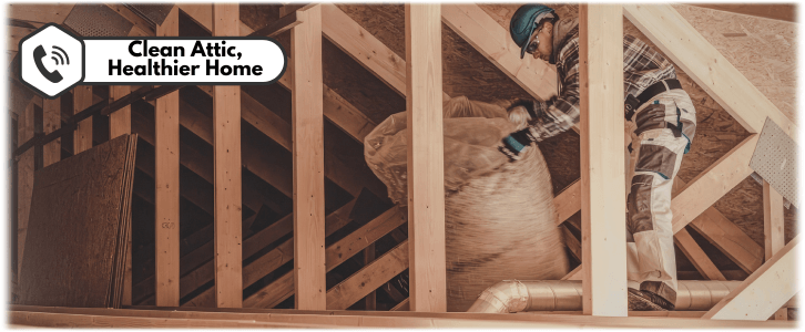 Attic Cleaning Queen Creek