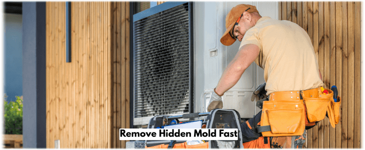 HVAC Mold Removal Queen Creek